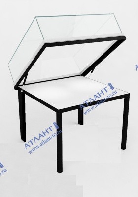 Витрина горизонтальная на газлифтах ВМГ15