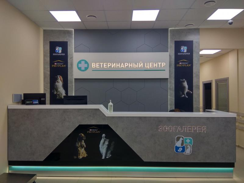 Ресепшен  для ветеринарного центра ул. Часовая д.18